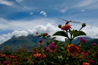 20110422_GalapD2_230