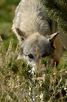 20110906_MontD1_113