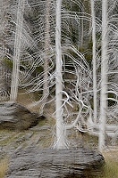 20110907_MontD2_466