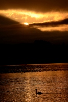 20111012_SwissD2_038