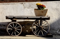 20111014_SwissD4_035