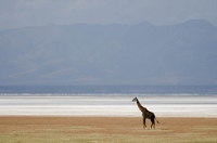 20110617_AfricaD2_163