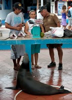 20100428_GalapD8_315