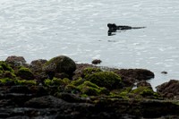 20100429_GalapD9_149