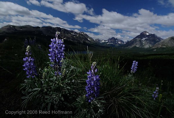 20080711_GlacierD2_294.jpg