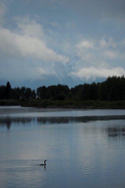 20100910_TetonsD2_013.NEF.jpg