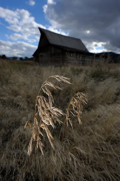 20100910_TetonsD2_714.NEF.jpg