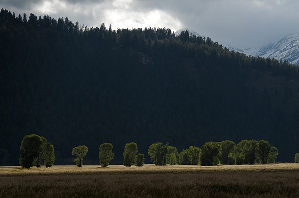 20100910_TetonsD2_743.NEF.jpg