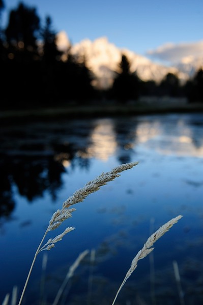 20100911_TetonsD3_152.NEF.jpg