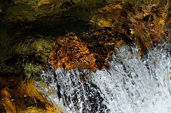 20100911_TetonsD3_246.NEF.jpg