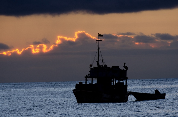 20110423_GalapD3_270.jpg