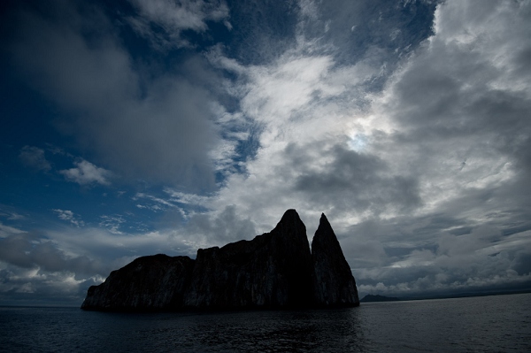 20110424_GalapD4_026.jpg