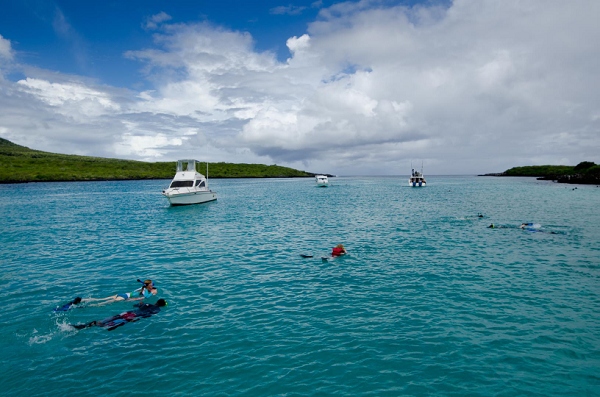 20110424_GalapD4_162.jpg
