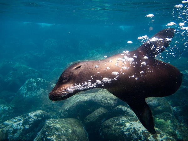 20110424_GalapUW_057.jpg