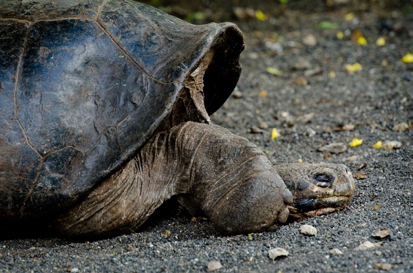 20110426_GalapD6_167.jpg
