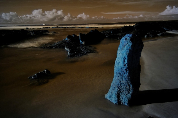 20110427_GalapD7_007.jpg