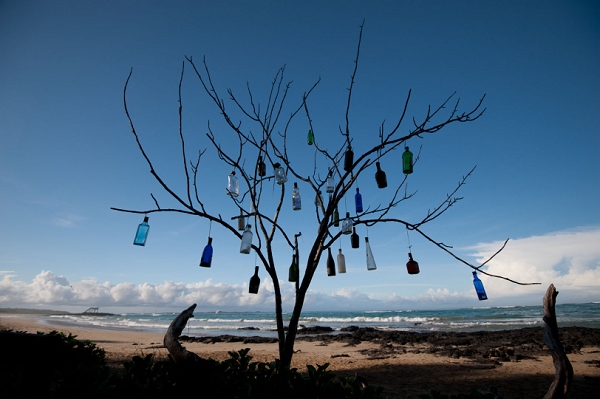 20110427_GalapD7_052.jpg