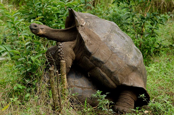 20110428_GalapD8_095.jpg