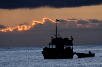 20110423_GalapD3_270