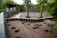 20110426_GalapD6_121