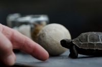 20110426_GalapD6_157