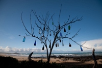 20110427_GalapD7_052