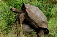 20110428_GalapD8_095