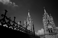 20110430_GalapD10_051