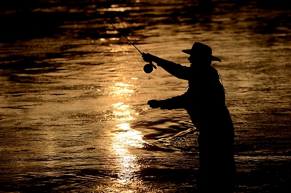 20110908_MontD3_235.NEF.jpg