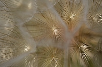 20110908_MontD3_217