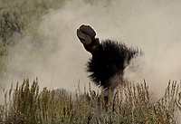 20110909_MontD4_210