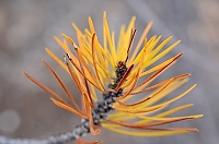 20110909_MontD4_289