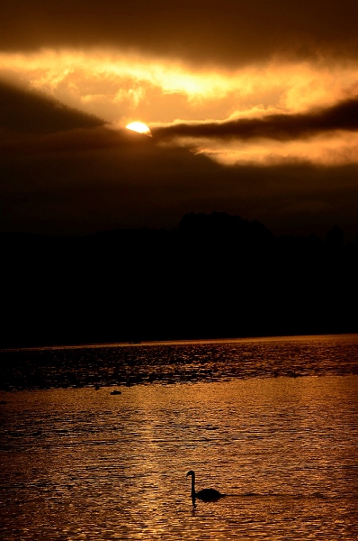20111012_SwissD2_038.JPG