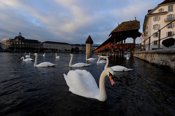 20111012_SwissD2_060.JPG
