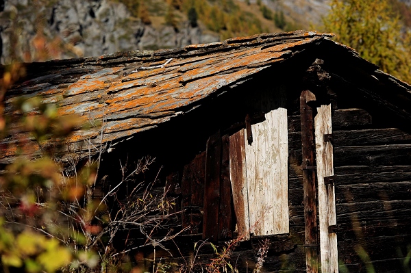 20111017_SwissD7_324.JPG