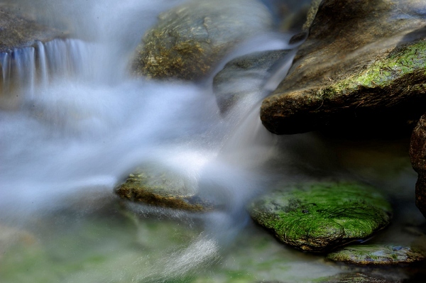 20111017_SwissD7_392.JPG