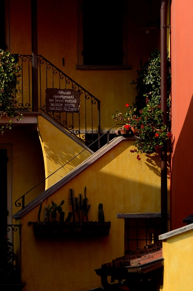 20111018_SwissD8_120.JPG