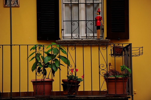 20111019_SwissD9_030.JPG