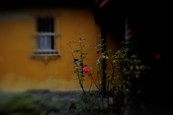 20111019_SwissD9_056.JPG