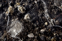 20111016_SwissD6_129