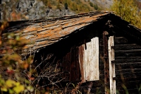 20111017_SwissD7_324