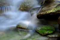 20111017_SwissD7_392