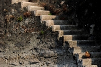 20111018_SwissD8_111