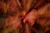 20111018_SwissD8_191
