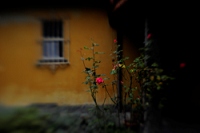 20111019_SwissD9_056