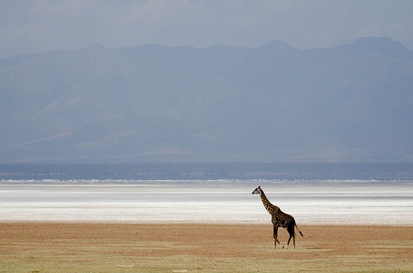 20110617_AfricaD2_163.jpg
