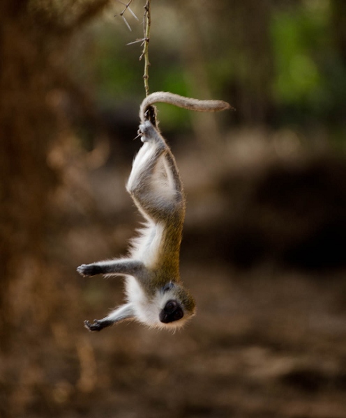 20110617_AfricaD2_285.jpg