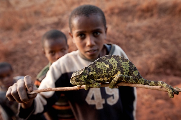 20110617_AfricaD2_353.jpg
