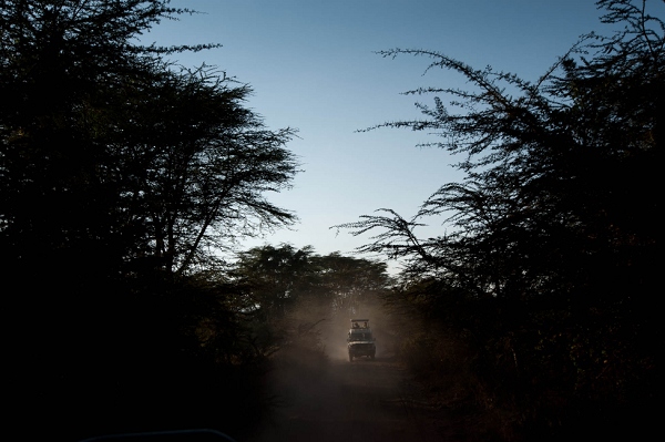 20110618_AfricaD3_640.jpg