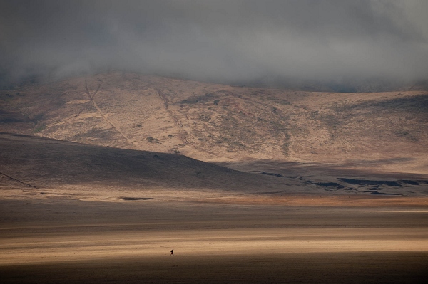 20110619_AfricaD4_007.jpg